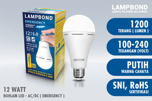 Lampbond® - Bohlam LED Emergency Synergy Smart Switch 12 Watt - Cool Daylight