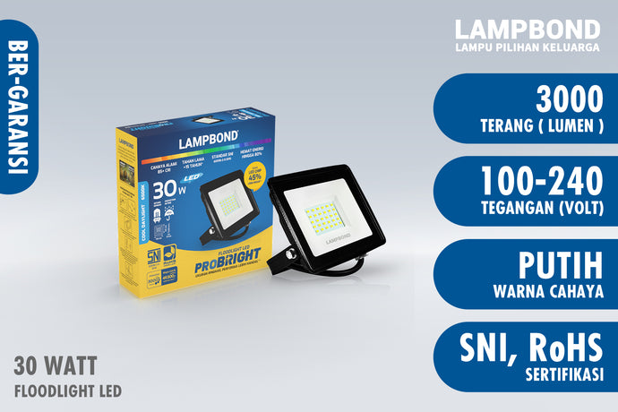 Lampbond® - Floodlight LED Probright 30 Watt - Cool Daylight